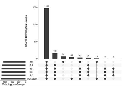 Genomic Comparison among Lethal Invasive Strains of Streptococcus pyogenes Serotype M1